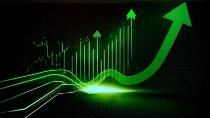 Financial performance charts