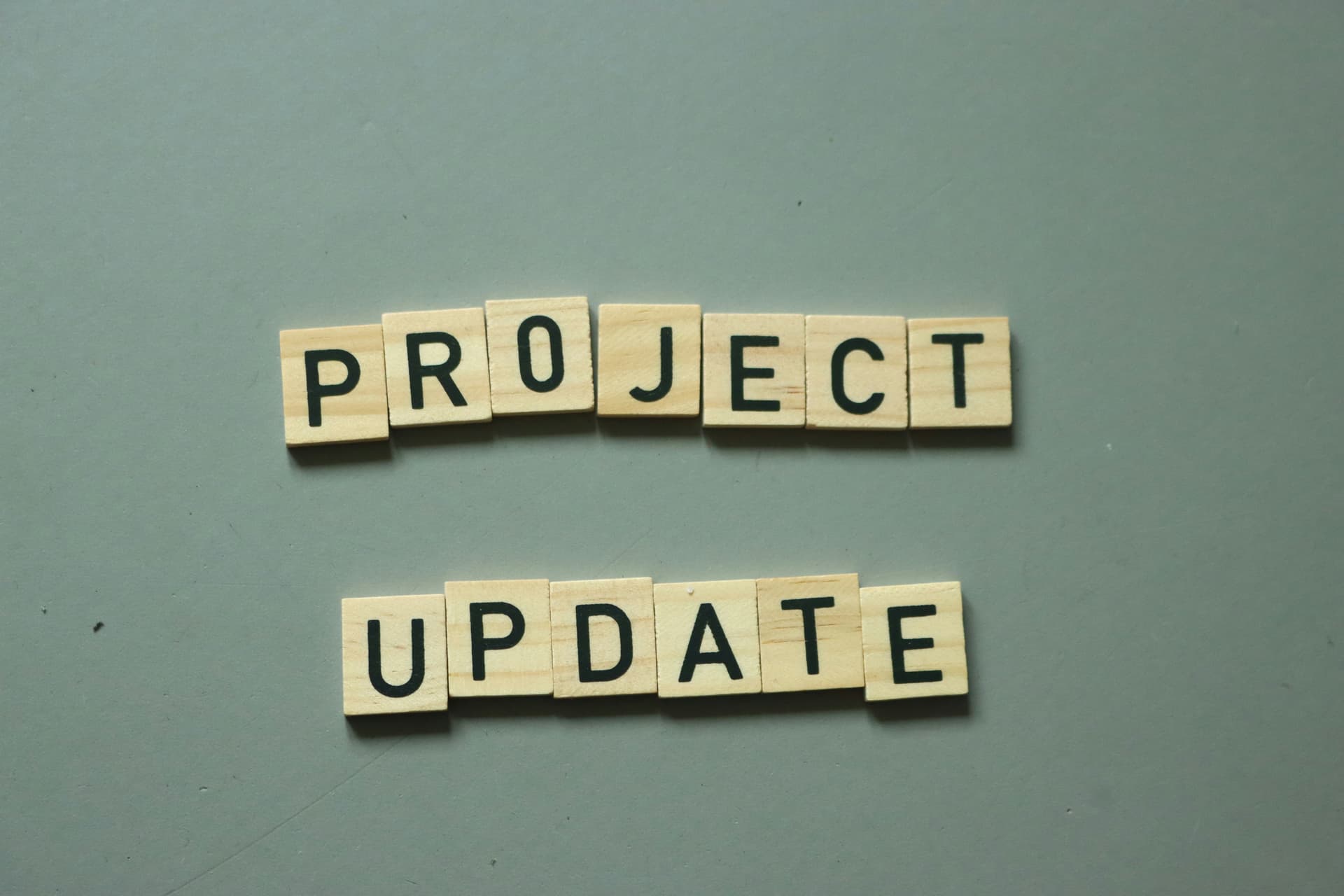 Project management team reviewing plans